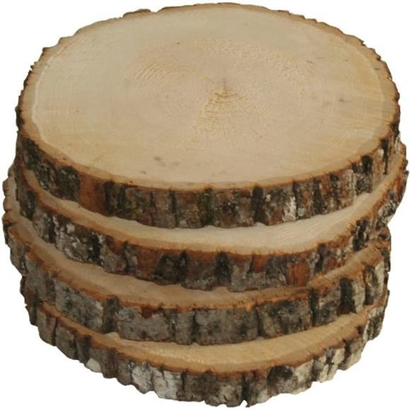 4 Pack Basswood Round Rustic Wood, Unsanded, 9-11" Diameter (Large) Excellent - Picture 1 of 7